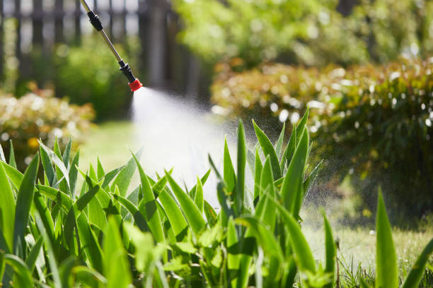 24/7 Emergency Termite Control experts in Tryon, NC