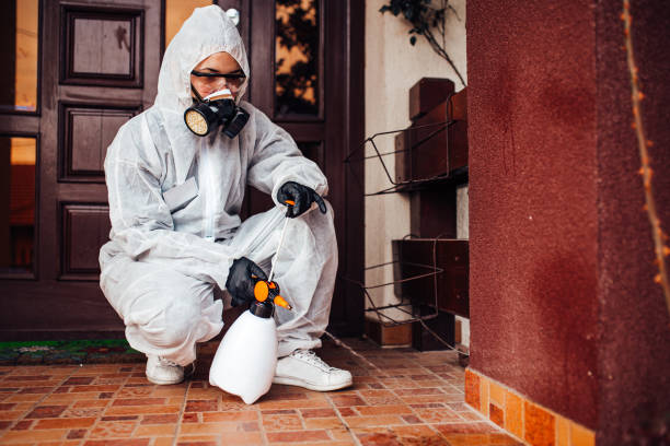 Reliable Termite Control contractor in Tryon, NC by Nex Pest Control